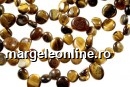 Tiger eye, free form nugget, 12-14mm