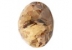 Swarovski dome, fancy chaton, light col. topaz, 12mm - x1