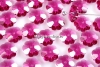 Swarovski, marguerite flower, fuchsia, 6mm - x10