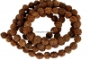 Margele rudraksha, naturale, rotund, 6.5-7.5mm - 1sirag