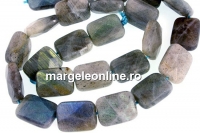 Margele labradorit, dreptunghi fatetat, 12x8.5mm