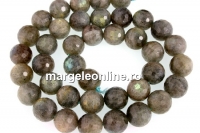 Margele labradorit, rotund fatetat, 10mm