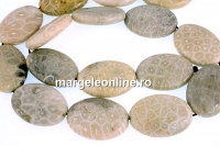 Margele coral fosil, oval, 25x18mm