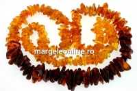 Baltic amber, necklace chips, 9.5-20mm