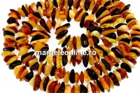 Baltic amber, necklace chips, 10-13mm