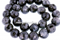 Margele larvikit, natural, rotund fatetat, 14mm