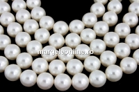 Swarovski pearl, white, 6mm - x100