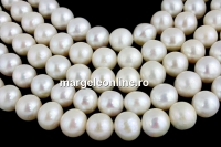 Perle de cultura - 8.5mmx7.5-8mm, alb