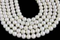 Perle de cultura - 6x5.5mm, alb