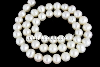 Perle de cultura - 7.5-8mmx6.5mm, alb