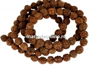 Margele rudraksha, naturale, rotund, 6.5-7.5mm - 1sirag