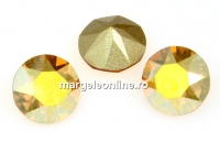 Swarovski, chaton SS34, metallic sunshine, 7mm - x2