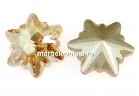 Swarovski, fancy edelweiss, golden shadow, 14mm - x1