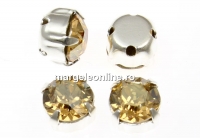 Swarovski, chaton montees golden shadow, 6mm - x10