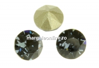 Swarovski, chaton pp10, graphite, 1.6mm - x20