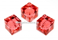 Swarovski, margele cub, padparadscha, 8mm - x1