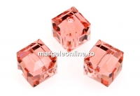 Swarovski, margele cub, rose peach, 8mm - x1