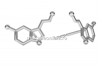 Tortite cercei serotonina, ag925 pl cu rodiu - x1per