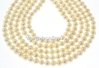 Freshwater Pearls - 6x5mm, white