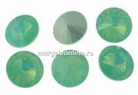 Ideal crystals, rivoli,  mix chrysolite opal, 10mm - x4