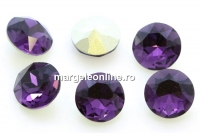 Ideal crystals, chaton, purple velvet, 10mm - x2