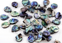 Margele sidef natural Abalone, scoica paua, picatura, 18x13.5mm
