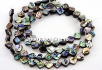 Margele sidef natural Abalone, scoica paua, romb, 10x10mm