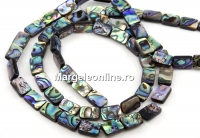 Margele sidef natural Abalone, scoica paua, dreptunghi, 12x8mm