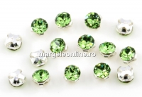 Swarovski, chaton mesh montees peridot, 2.6mm - x20