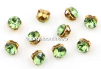 Swarovski, chaton mesh montees peridot, 2.6mm - x20