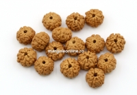 Margele rudraksha, naturale, rotund, 8-9mm - x30