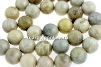 Margele coral fosil natural, rotund, 10mm
