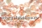 Margele opal natural alb, disc, 14mm