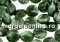 Seraphinite, flat disc, 10mm