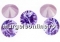 Swarovski, chaton SS34, antique pink, 7mm - x2