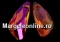 Swarovski, wing pendant, aurora borealis, 27mm - x1