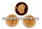 Swarovski, cabochon Graphic, aurore boreale, 14mm - x1