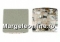 Swarovski, cabochon, white patina, 8mm - x1