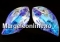 Swarovski, wave leaf pendant, violet, 30mm - x1