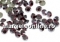Swarovski, chaton pp21, ruby, 2.8mm - x20