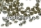 Swarovski, chaton pp21, greige, 2.8mm - x20