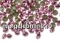 Swarovski, chaton PP18, light amethyst, 2.5mm - x20