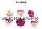 Preciosa chaton PP14, sapphire, 2mm - x40