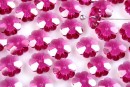 Swarovski, marguerite flower, fuchsia, 6mm - x10