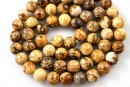 Picture jasper, round, 6.5mm