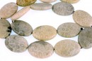 Margele coral fosil, oval, 25x18mm