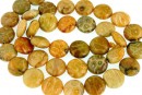 Margele coral fosil, disc, 10mm