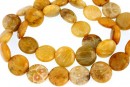 Coral fossil, flat disc, 12.5mm