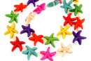 Multicolor magnesite, star, 14.5mm