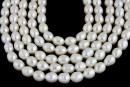 Perle de cultura - 6.5x5.3mm, alb